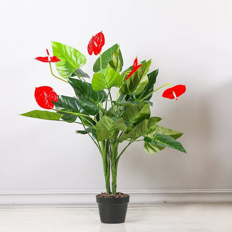 Potted plant with red flowers and green leaves on a white background
