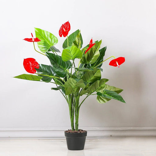 Potted plant with red flowers and green leaves on a white background