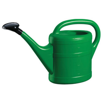 Green watering can on a white background