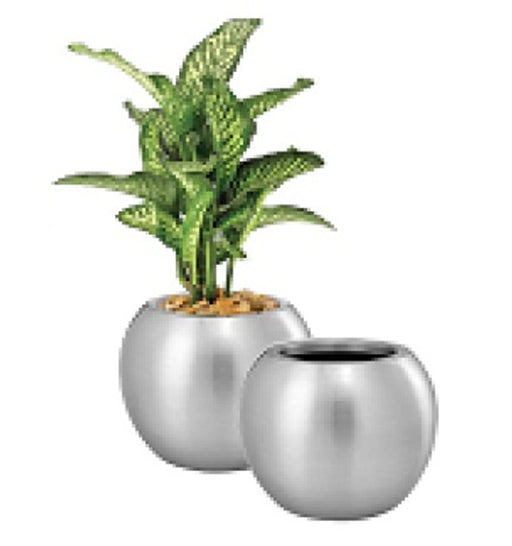 Two metallic planters with a green plant on a white background