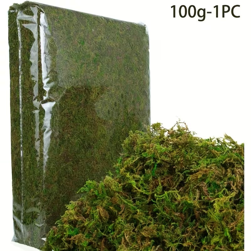 Natural Sphagnum Moss -100gm