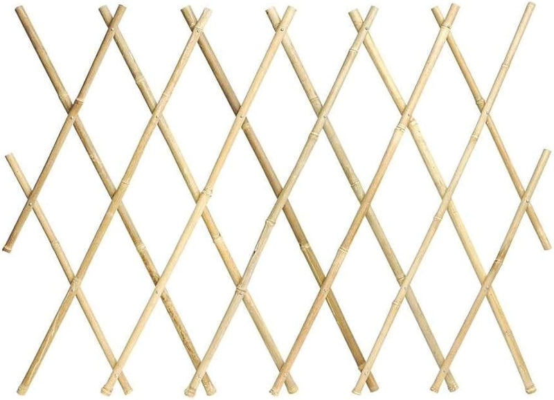 Bamboo Trellis 120X180cm