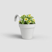 White flowerpot with a plant on a light gray background