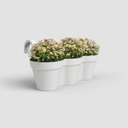 White three- compartment planter with flowers on a light gray background