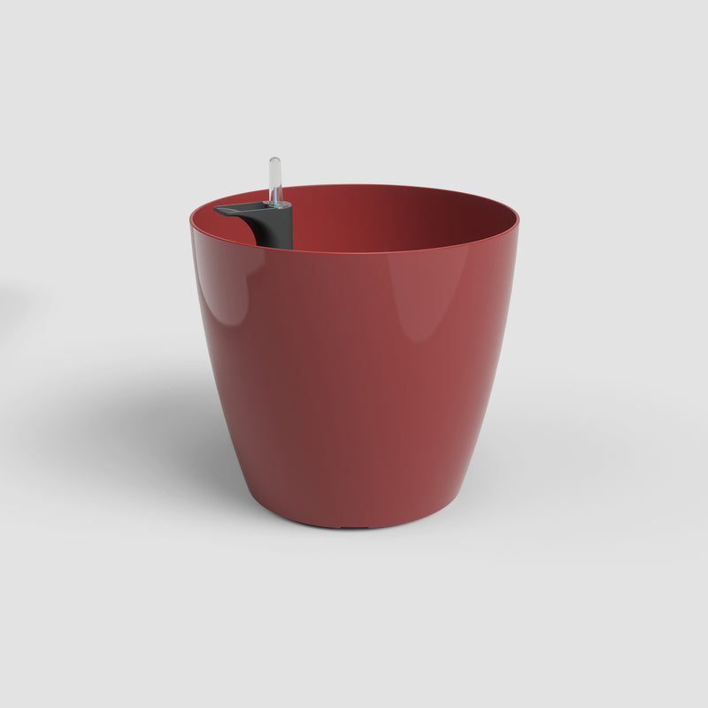 Red planter with a small black and clear object on a white background