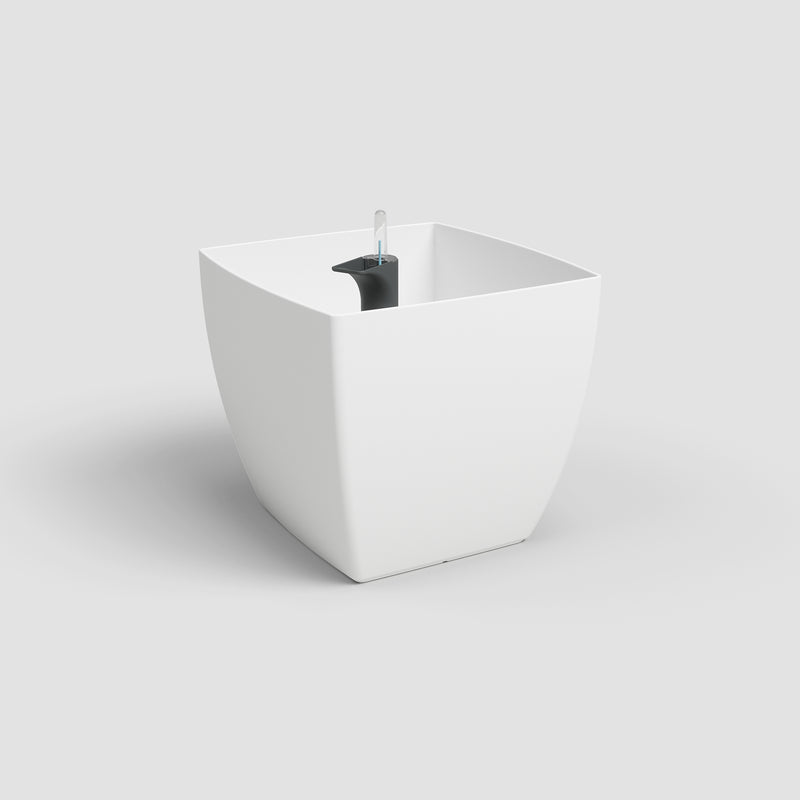 White geometric planter with a black interior on a light gray background