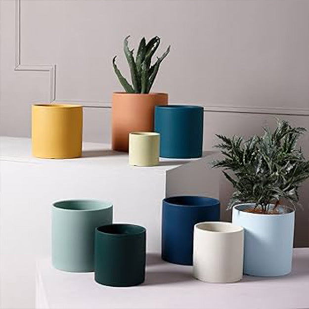 Pots & Planters