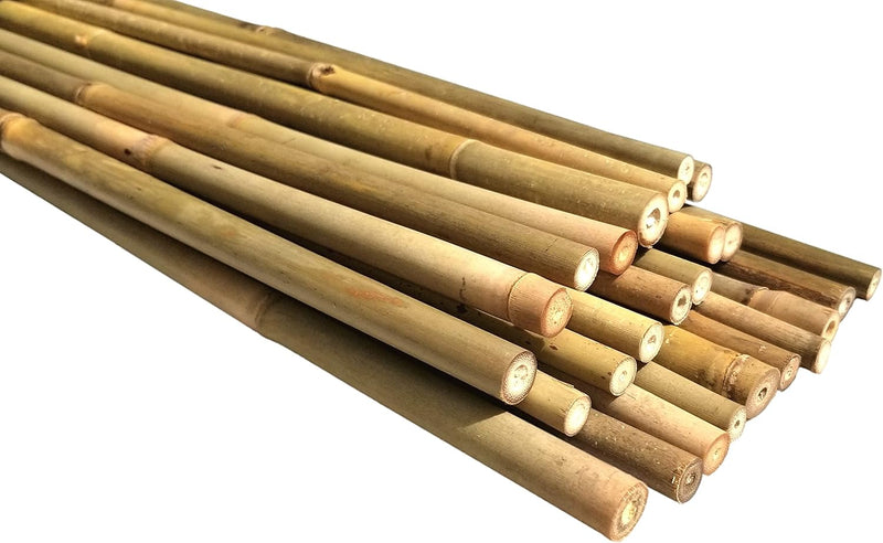 Bamboo Stick 1.5m- Single Piece
