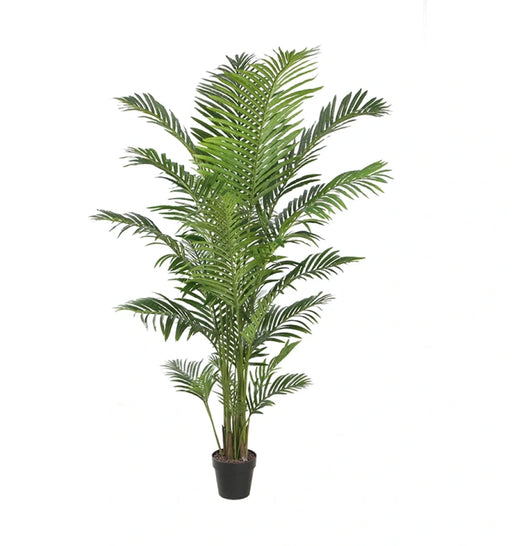 Potted artificial palm tree on a white background