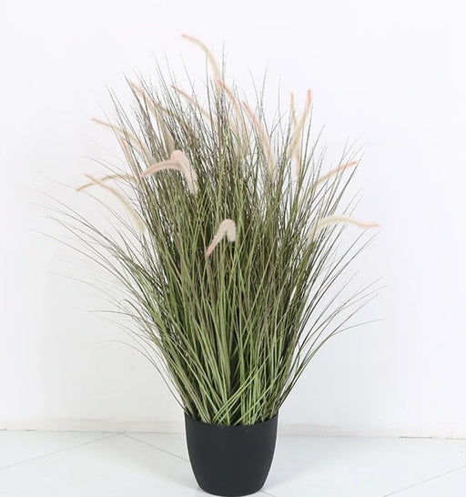 Potted plant with long green leaves and pink flowers on a white background