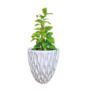 Fibre Pots  GRP 101