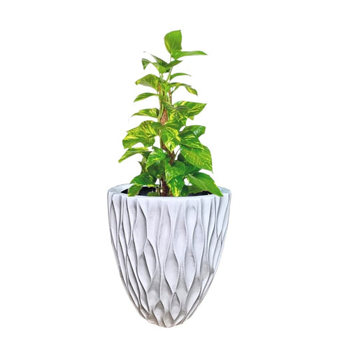 Fibre Pots  GRP 101