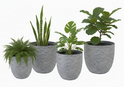 GF Utah Egg Planter