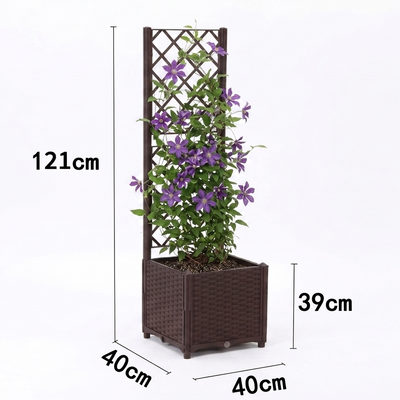 Plastic Planter with Fence- Single (without plants)