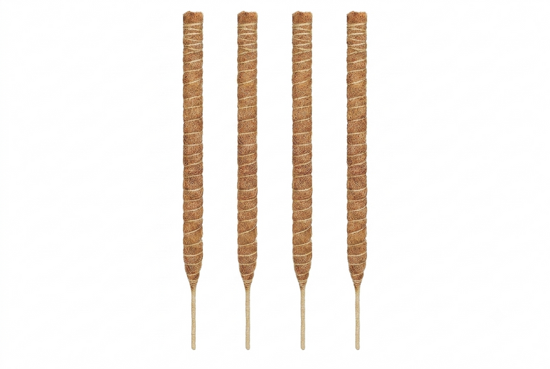 Moss Stick 100cm(1 pcs)