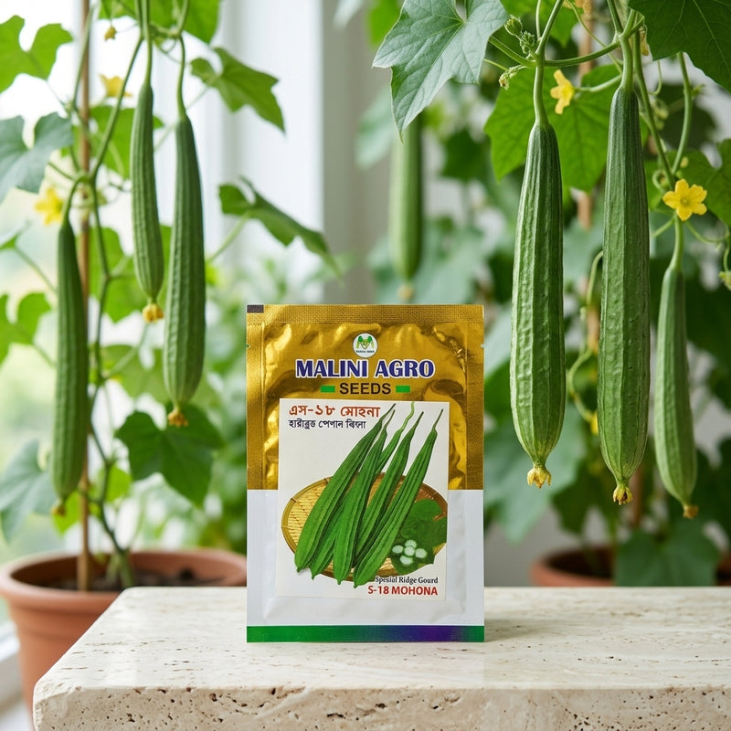 Ridge Gourd Seeds 10Gm
