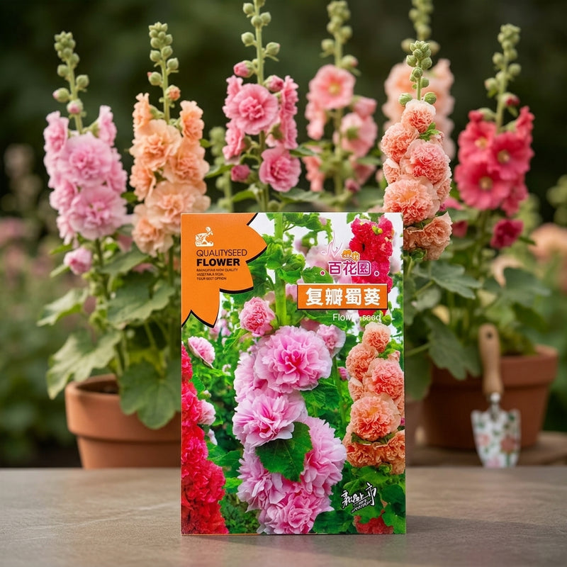 Hollyhocks Flower Seeds