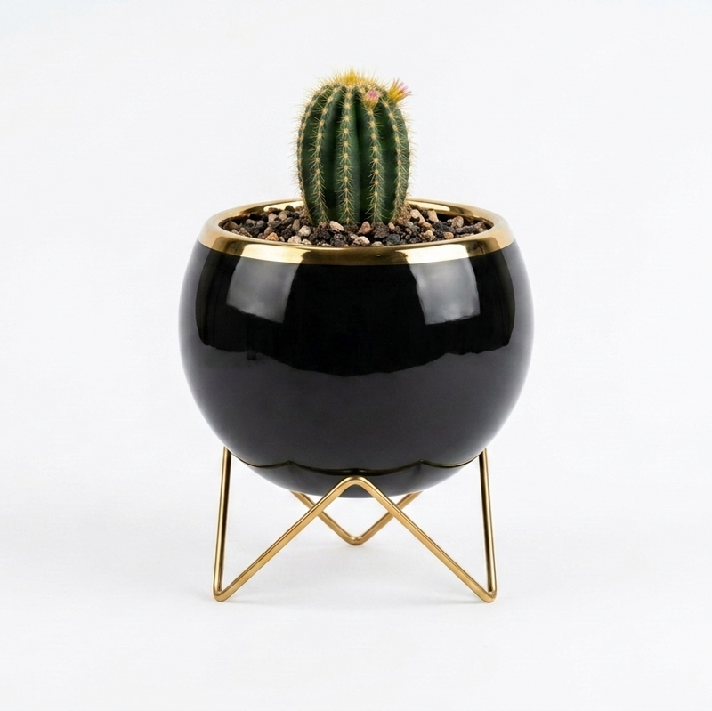 Ceramic cactus pot with stand ( Black color-without plant)