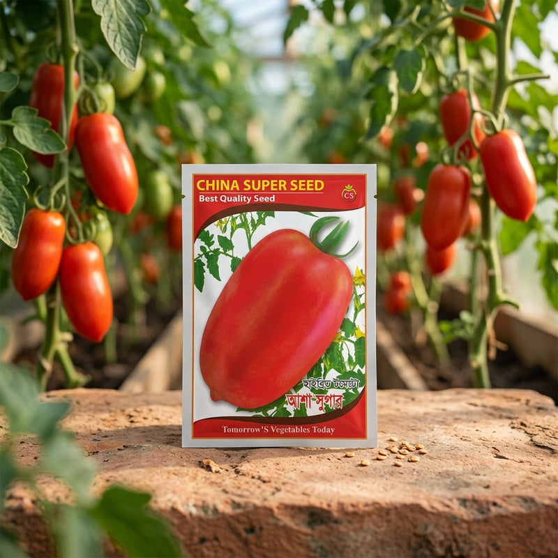 Tomato Seeds F1 (Hybrid)