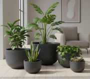 OLDHAM  Shallow  Planter