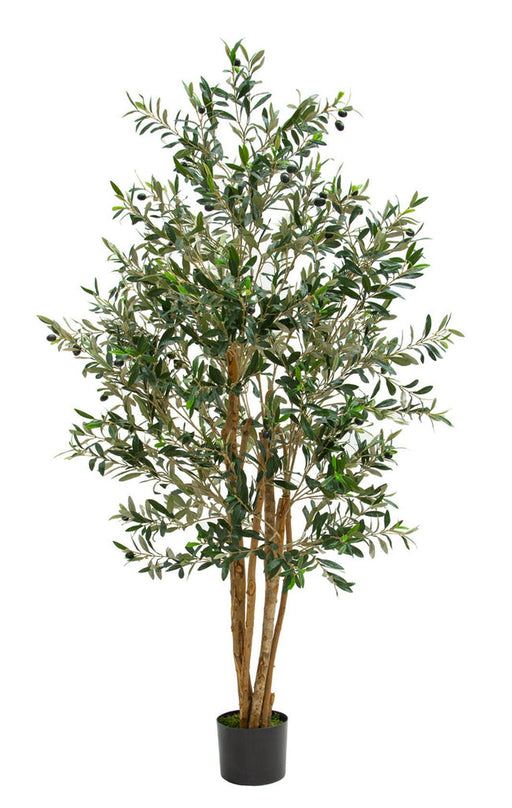 Artificial olive tree with green leaves in a pot on a white background
