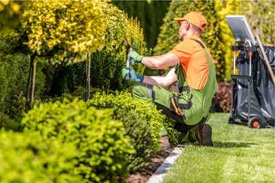 Garden Maintenance Service Monthly Package