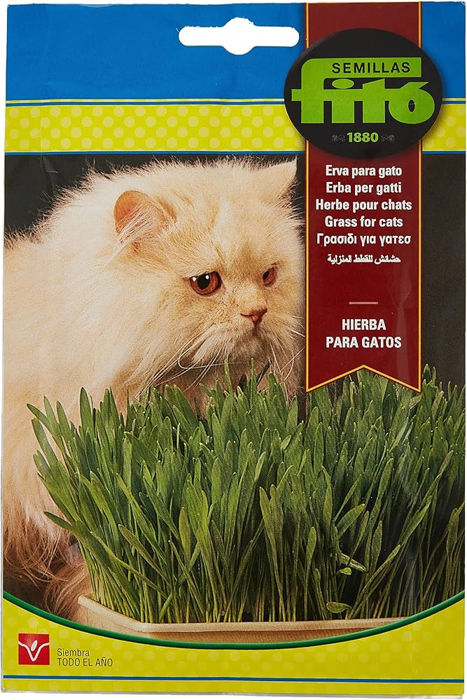 Fito Grass for Cats Hierba Para Gatos Seeds