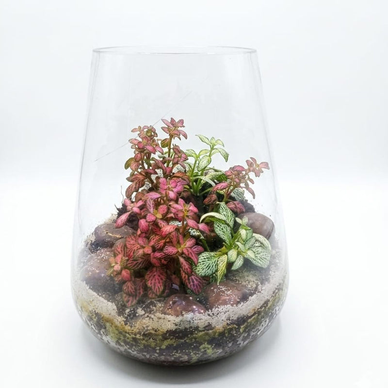 Terrarium with Glass jar