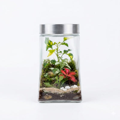 Terrarium with Glass jar