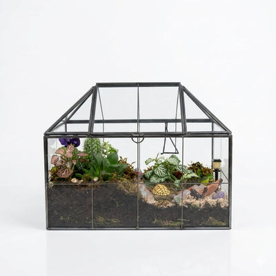 Terrarium with Glass Jar and Plant
