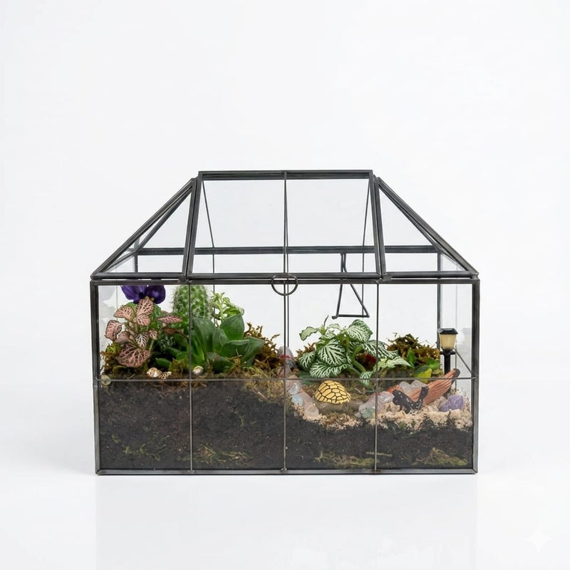 Terrarium with Glass Jar and Plant