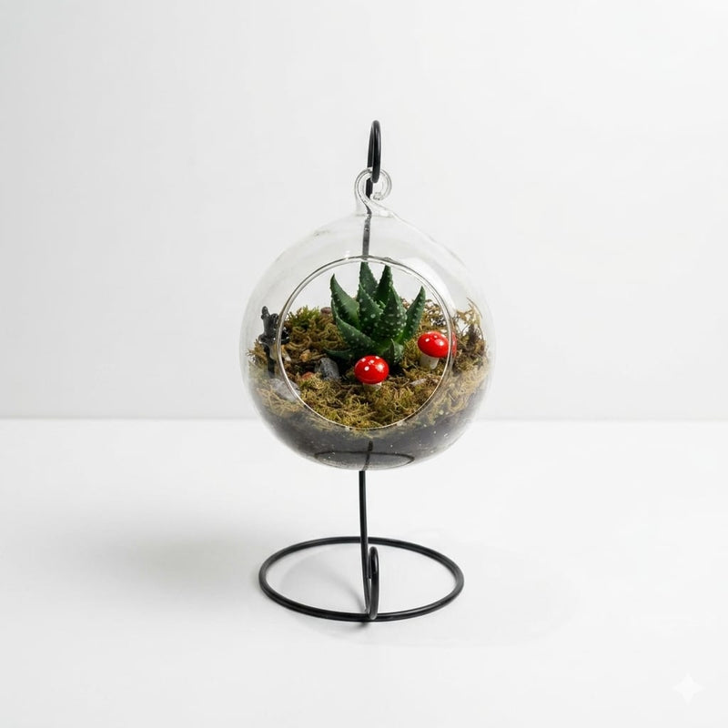 Terrarium with Glass Jar and Plant