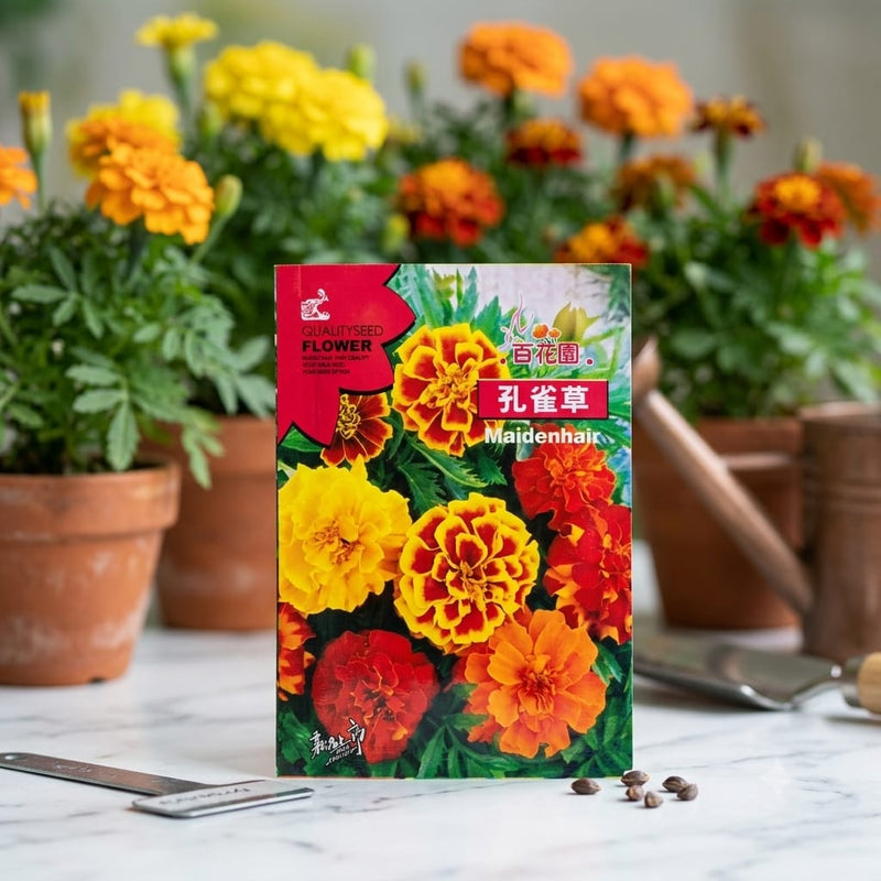 Marigold Mix Color Seeds