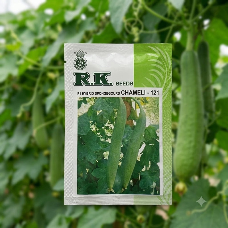 Sponge Gourd Seeds