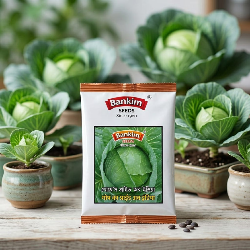 Cabbage Seeds 10Gm