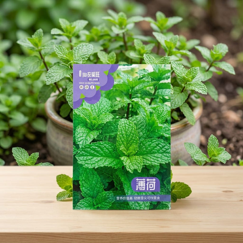 Mint Seeds