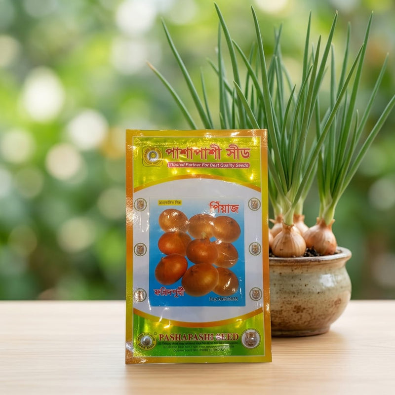 Red Onion Seeds 10Gm