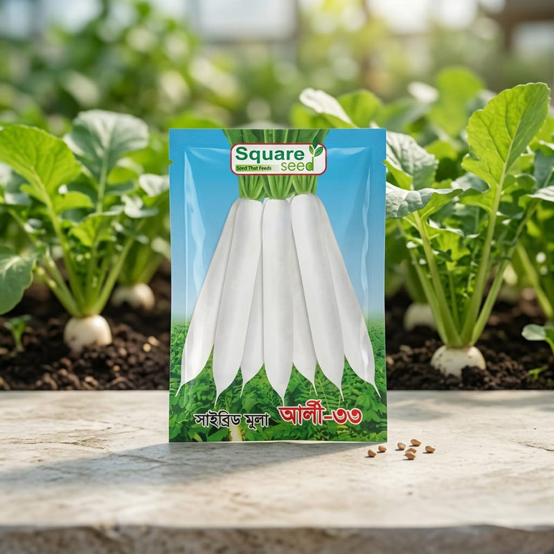 Daikon Radish Seeds 50Gm