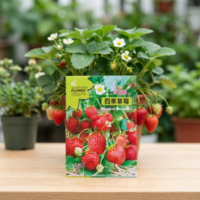 Strawberry Seeds