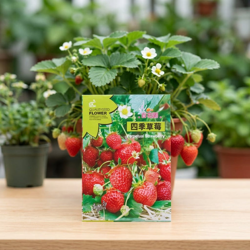 Strawberry Seeds