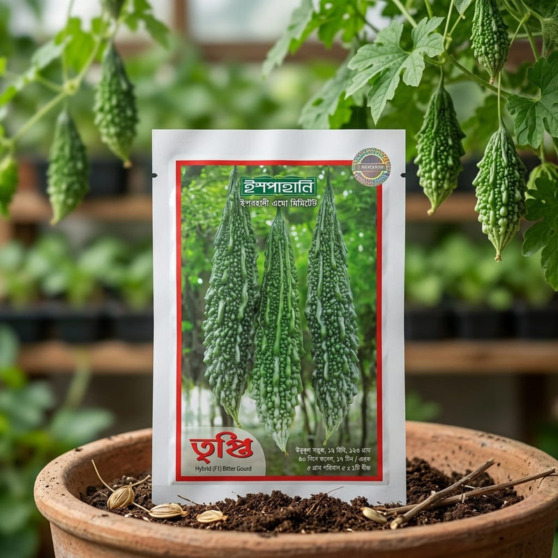 Bitter Gourd Seeds 10Gm