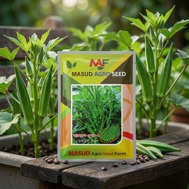 Okra Seeds 10Gm