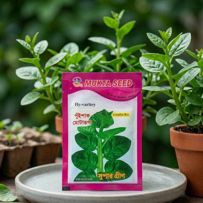 Malabar Spinach Seeds 10Gm