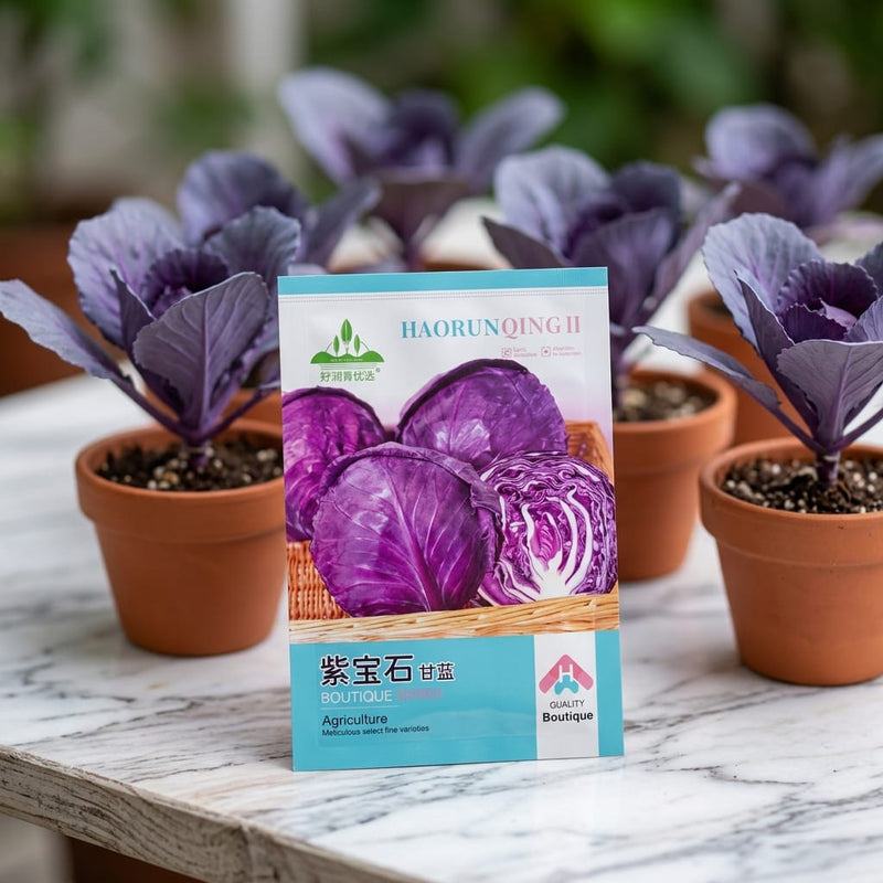 Red Cabbage Seeds