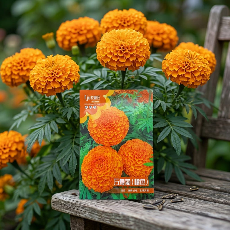 Marigold Orange Seeds