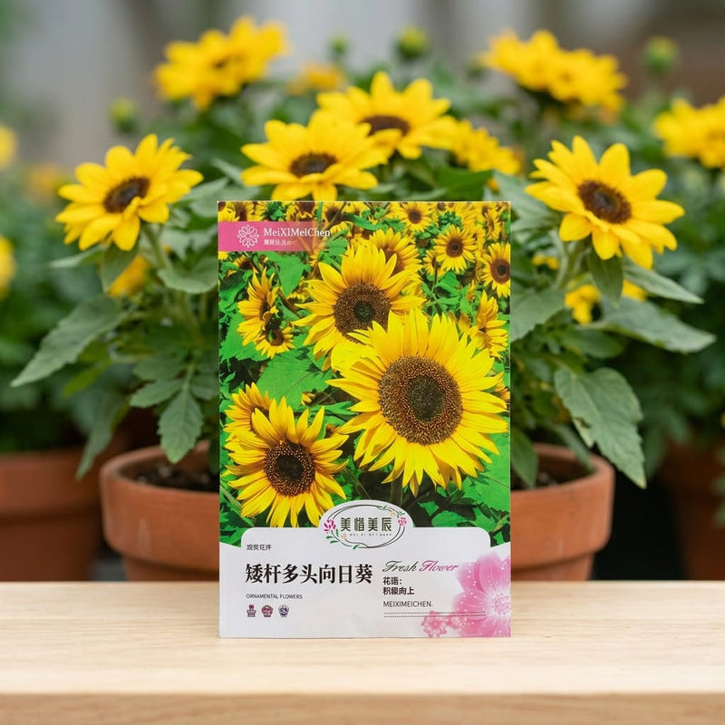 Sunflower Seeds