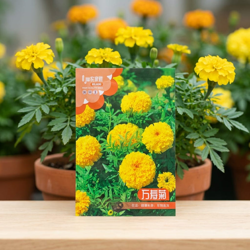 Marigold Yellow Seeds