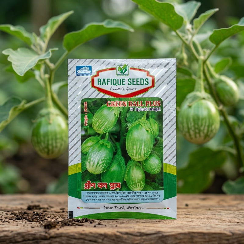 Green Eggplant Seeds