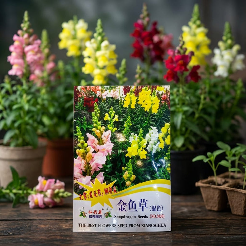 Antirrhinum (Snapdragon) Seeds