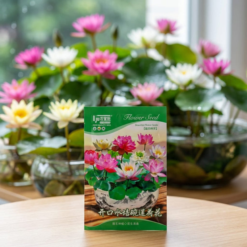 Lotus Mix Color Seeds